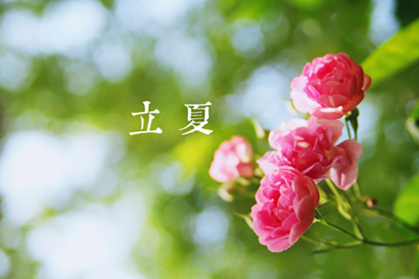 斯普瑞涂裝|立夏,萬(wàn)物向陽(yáng),且共成長(zhǎng)